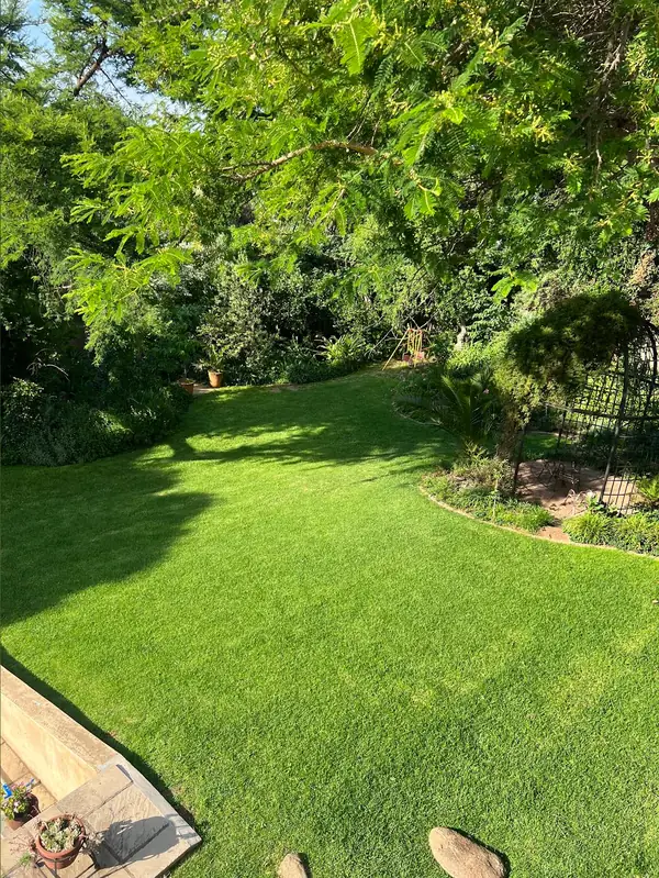A wide, even green lawn under the shade of a large tree, with planted beds and a garden arch